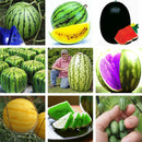 20Pcs Watermelon Multi-color Flesh Magic Garden Seeds Summer Cool Fruit Garden Farm Landscape