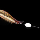 Soft Bait Biomimetic Fishing Lure Bionic Shrimp Fishing Tackle Lure Bait (R