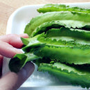 Egrow 20Pcs/Pack Winged Bean Seeds Asian Psophocarpus Tetragonolobus Bonsai Vegetable Plants Seeds