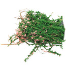 Sand Table Decorative Shrub Thicket Spend Plant Flower Garland Decor Fairy  P5N2