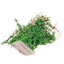 Sand Table Decorative Shrub Thicket Spend Plant Flower Garland Decor Fairy  P5N2