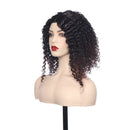 Women Curly Wig Fluffy Small Roll Wig Synthetic Wavy Hair Heat Resistant Wig