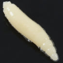 50Pcs 2cm Fishing Lure Maggot Grub Soft Baits Worms Ivory