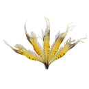 5X(5Pcs 9cm 4g Outdoor Fishing Lure Soft Simulation Lightweight Shrimp PrawG8Z5)