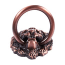 Dresser Drawer Cabinet Door Ring Lion Head Pull Handle Knob 10pcs T1E1