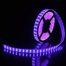 5M RGB SMD5050 Waterproof 600 LED Double Row Tube Flexible Strip Light Rope Lamp DC12V