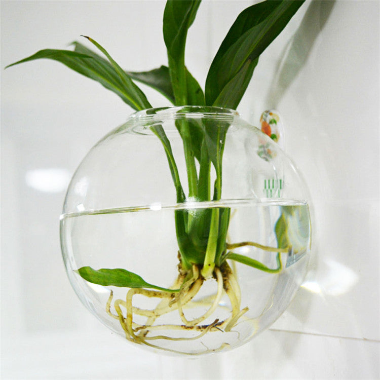 Creative Wall Hanging Transparent Glass Vase Hydroponic Living Room Home Decor