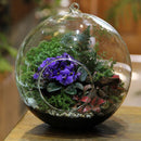4 inches Diameter Clear Glass Pendant Vase for flower of operation jewelry E7O8