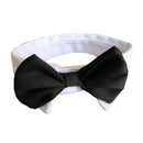Dog cat neck loop necktie bowknot black and white D1G9