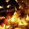 10M Moon Shape Warm White Colorful 100 LED String Fairy Holiday Light Home Decor EU Plug AC220V
