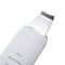 Facial Skin Scrubber Spatula Ultrasonic Blackhead Remover Pore Cleaner