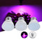 3W 4W 5W E27 LED Grow Light Bulb Full Spectrum Veg Flower Indoor Plant Hydroponics Lamp AC110V AC220V