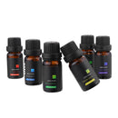 6 Pcs 10mL Aromatherapy Essential Oil Set 100% Pure kit Bottles Gift Box