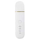 USB Ultrasonic Ion Skin Scrubber Micro-electric Current Deep Face Cleaner Portable Blackhead Remover