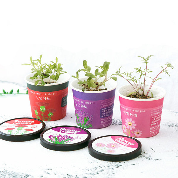 Creative Micro Landscape Mini Cute Little Flower Pot DIY Small Bonsai Plantas Ecological Plant Seeds For Home Garden Decor