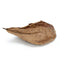 10Pcs Aquarium Natural Terminalia Leaves Reduce Ph Improve Water Quality Water Purifier