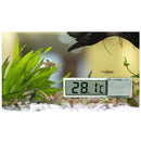 Mini Transparent Digital Thermometer LED Temperature Meter for Aquarium