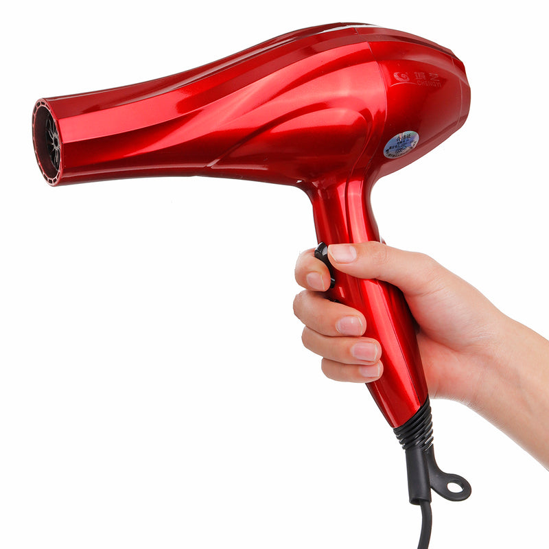 3000W Professional Hair Blow Dryer Blower Diffuser Salon Styling with Nozzles