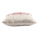 Christmas Letter Sofa Bed Home Decoration Festival Pillow Case Cushion Cove