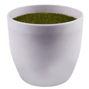 Artificial plants ball bonsai can washes decorative green plants for home d