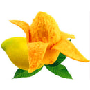 Egrow 1pc Edible Mango Fruit Seeds Garden Courtyard Outdoor Plants Mango Tree Seed