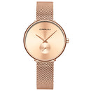 CRRJU 2165 Fashion Full Steel Strap Casual Simple Dial Luxury Women Quartz Watch