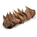 10Pcs Aquarium Natural Terminalia Leaves Reduce Ph Improve Water Quality Water Purifier