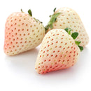 Egrow 100Pcs/Pack White Strawberry Seeds Garden Indoor Bonsai  Organic Fragaria Fruit Seed