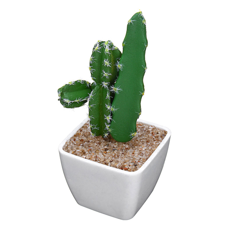 Simulating Cactus Bonsai and Simulating Creative Car Ornaments of Mock Succulents Plants