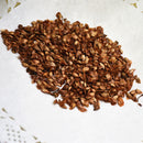 Egrow 50PCS/Pack Pine Seeds Bonsai Larch Pine Tree Plants For Home Garden Potted Perennial Larix Tree Plant In Flower Pot Fast Growing Tree