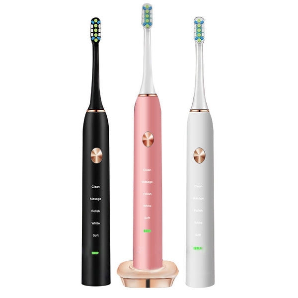 Loskii PA-213 Electric Toothbrush Rechargeable Ultrasonic Vibration Toothbrush 2 Replacement Heads