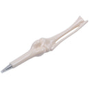 5 pcs/lot 0.7mm Student Creative Human Bones Ballpoint pen School supplies  P1R5
