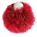 Fish Aquarium Ceramic Base Ball Shape Red Artificial Aquatic Plant Grass M5V1