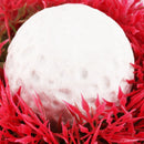 Fish Aquarium Ceramic Base Ball Shape Red Artificial Aquatic Plant Grass M5V1