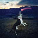 Pet Dog Training Electronic LED 7 Color Flashing Luminous Dog Pet Toys