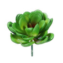 10Pcs PVC Artificial Succulent Flocking Plants Foliage  Landscape Garden Decorations