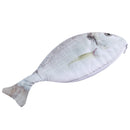 Fish shaped pencil bag pencil case box fish school pen case originality Sch C3S9