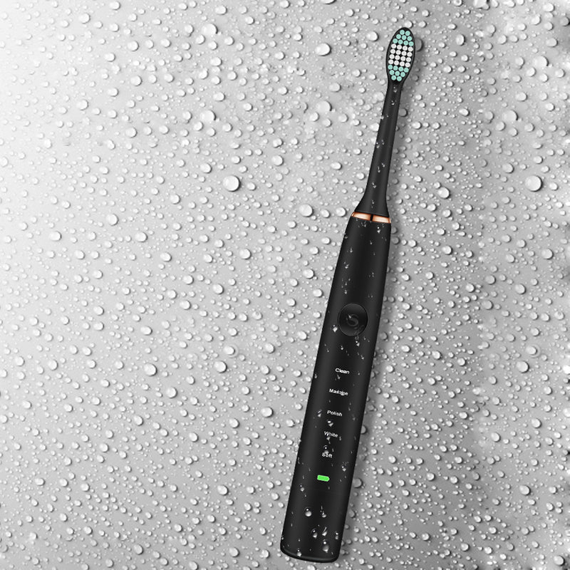 Loskii PA-189 Rechargeable Ultrasonic Vibration 5 Clean Modes Toothbrush Electric Toothbrush Dental