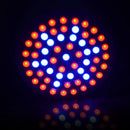 Full Spectrum E27 3W 60 LED Grow Light 41 Red 19 Blue For Plant Hydroponics AC220V
