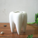 7x10cm Tooth Shape Flower Pot Succulent Plant Storage Ceramic Gardening Potted Creative Home Decor