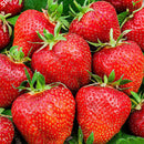 Egrow 100 Pcs/Pack Strawberry Tree Seeds Rare Fruit Strawberry Bonsai Seed Garden DIY Planting
