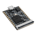 Lichee Pi NanoF(16M) Cross-Border Core Board ARM 926EJS 32MB DDR Development Board Mini PC