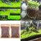 Egrow  Aquatic Double Leaf Plant Seeds Aquarium Plant Seeds Aquarium Fish Tank Decor
