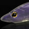 ZANLURE 2pcs/set Transparent White Squid Ribbonfish Lure Fishing Lure Bulit-in Reflector Sea Fishing
