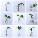 Irregular Wall Hanging Glass Planter Air Plant Terrarium Flower Pots Vase