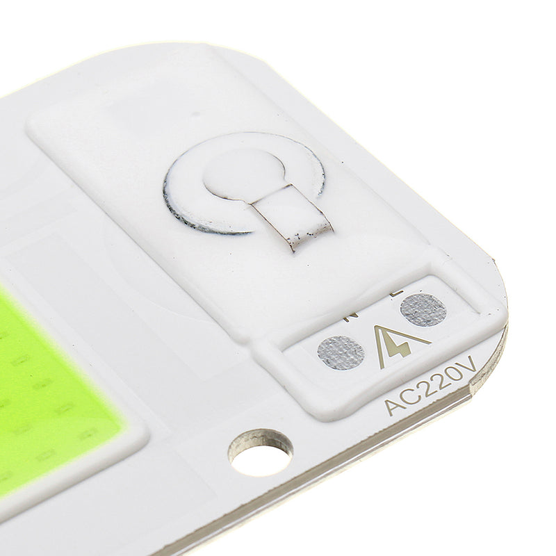 LUSTREON 20W/30W/50W Warmwhite/White/Blue/Red/Green COB LED Chip Floodlight Spotlight AC220-240V