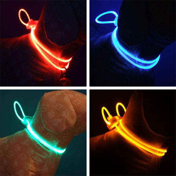 Colorful LED Pet Dog Collar Chain Luminous Light LED Dog Cat Night Light Collar