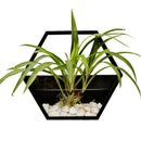 Handmade Acrylic Chlorophytum Flower Pot Scindapsus Hexagon Hanging Wall Decoration