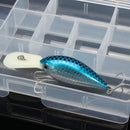 Removable Fishing Tool Bait Tackle Storage Box  Transparent Fishing Tackle Box