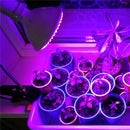 E27 3W/5W/7W LED Grow Light Bulb Plant Lamp for Vegetables Flower Hydroponic Cultivation  AC220V
